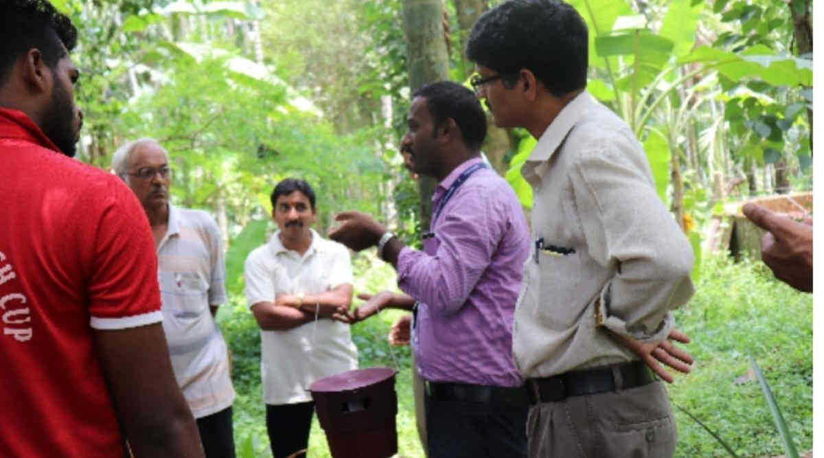 IPM तकनीक नारियल की खेती 2