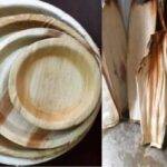 Joha Rice: जोहा चावल की खेती के साथ पपीते की खेती और सूअर पालन कैसे कर सकते हैं?