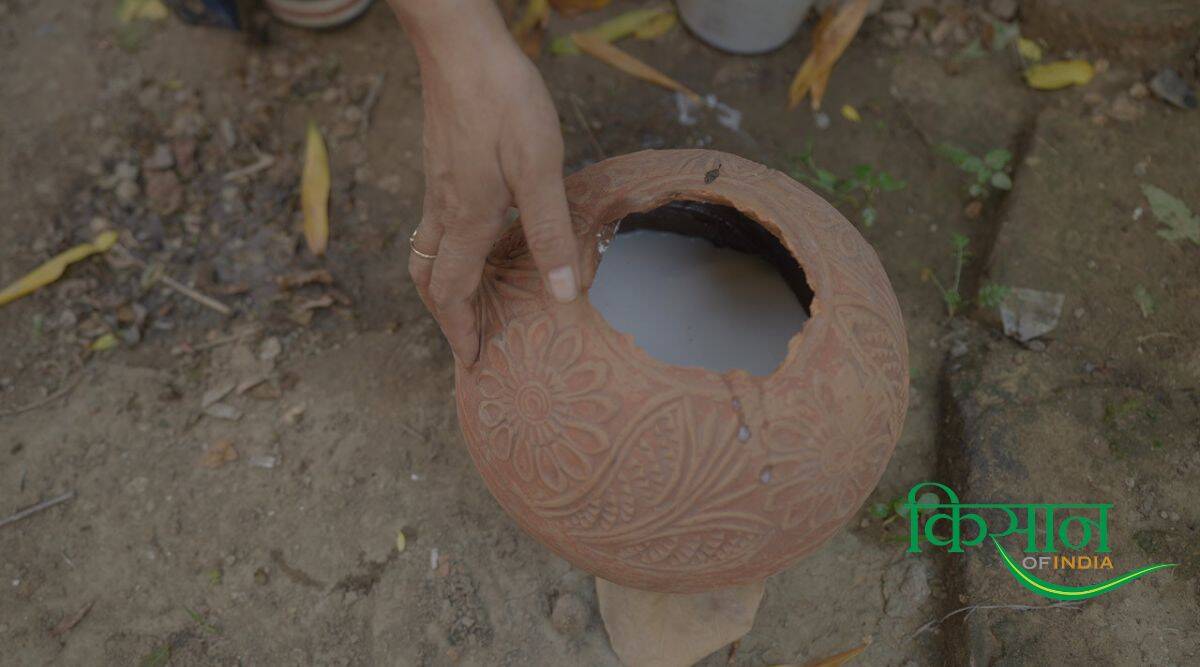 किचन गार्डन Kitchen Garden (Picture: KOI) किचन गार्डन kitchen garden