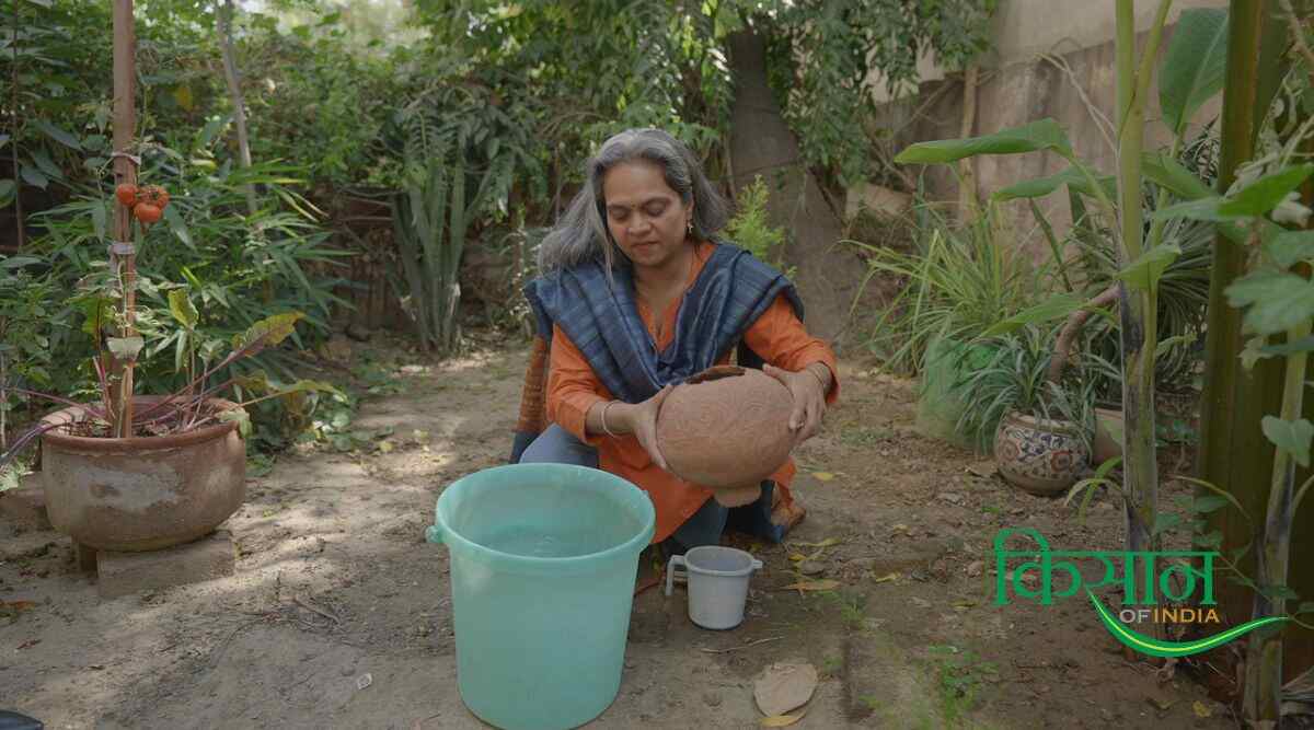 अतिथि पोपली (किचन गार्डन Kitchen Garden) किचन गार्डन kitchen garden