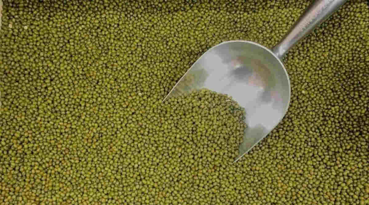 मूंग की खेती (Moong Cultivation) मूंग की खेती