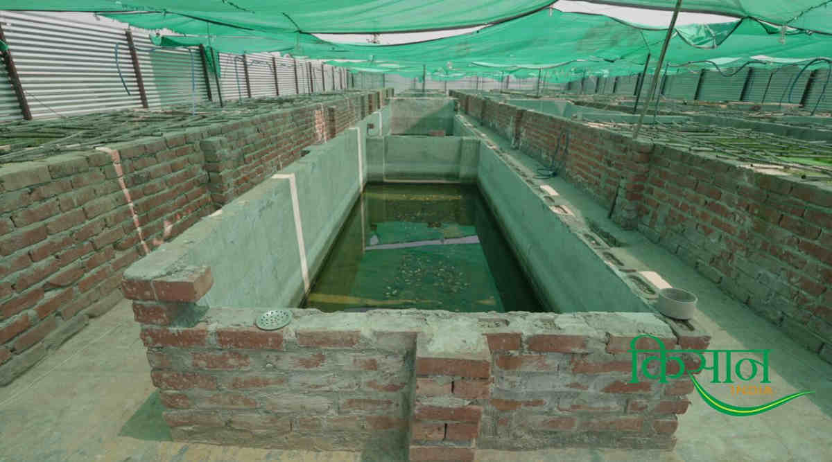 मोती की खेती - Pearl Farming मोती की खेती - Pearl Farming
