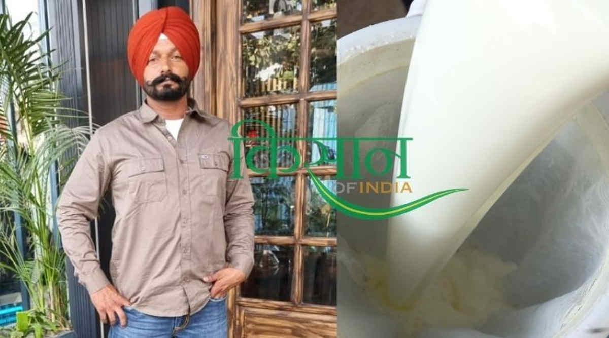 डेयरी फ़ार्म saranjeet kaur dairy farm दूध का उत्पादन 3