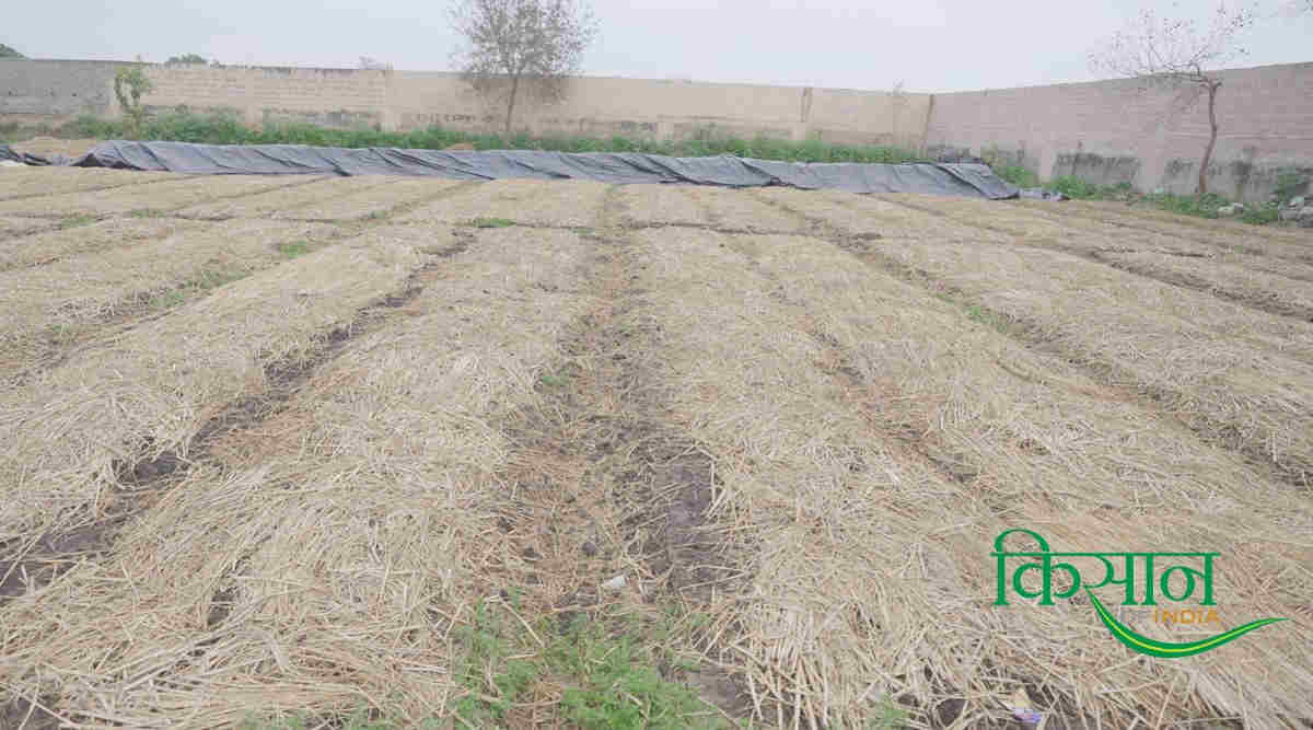 वर्मीकम्पोस्ट व्यवसाय vermicompost business