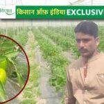 Spice Farming: मसालों की खेती कर रहे किसानों के लिए पुरुषोत्तम झामाजी भुडे ने गाँव में ही खड़ा कर दिया बाज़ार