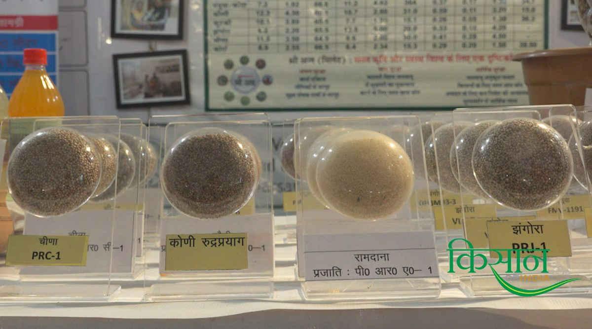 Millets Products मिलेट्स प्रॉडक्ट्स