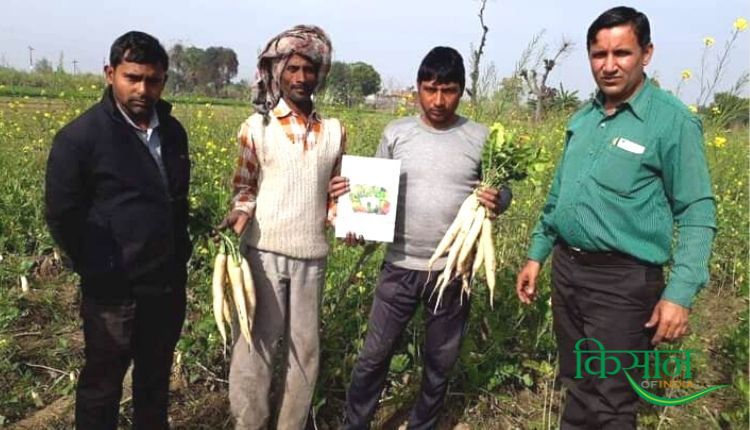 Seed Production बीज उत्पादन व्यवसाय 3