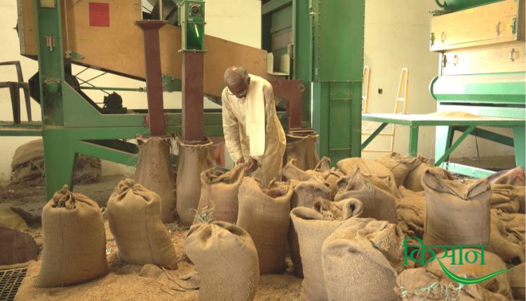 Seed Production बीज उत्पादन व्यवसाय 4