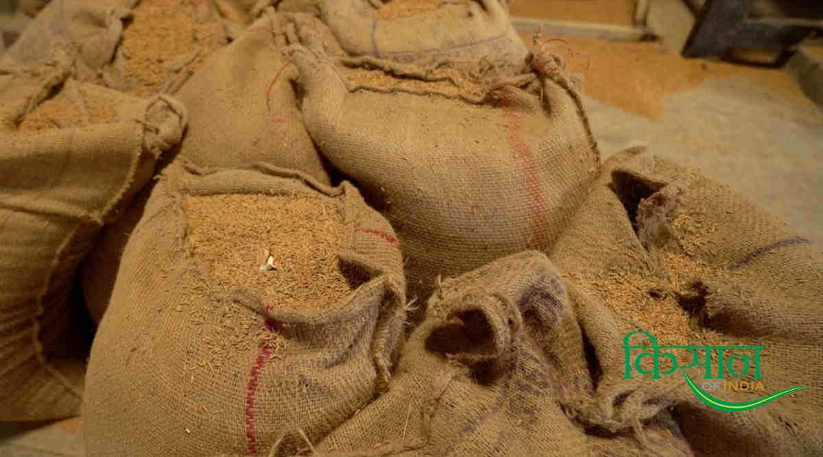 Seed Production बीज उत्पादन व्यवसाय 7