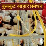 सरकारी नौकरी छोड़ शुरू की स्ट्रॉबेरी की खेती, आज हैं सफल महिला किसान