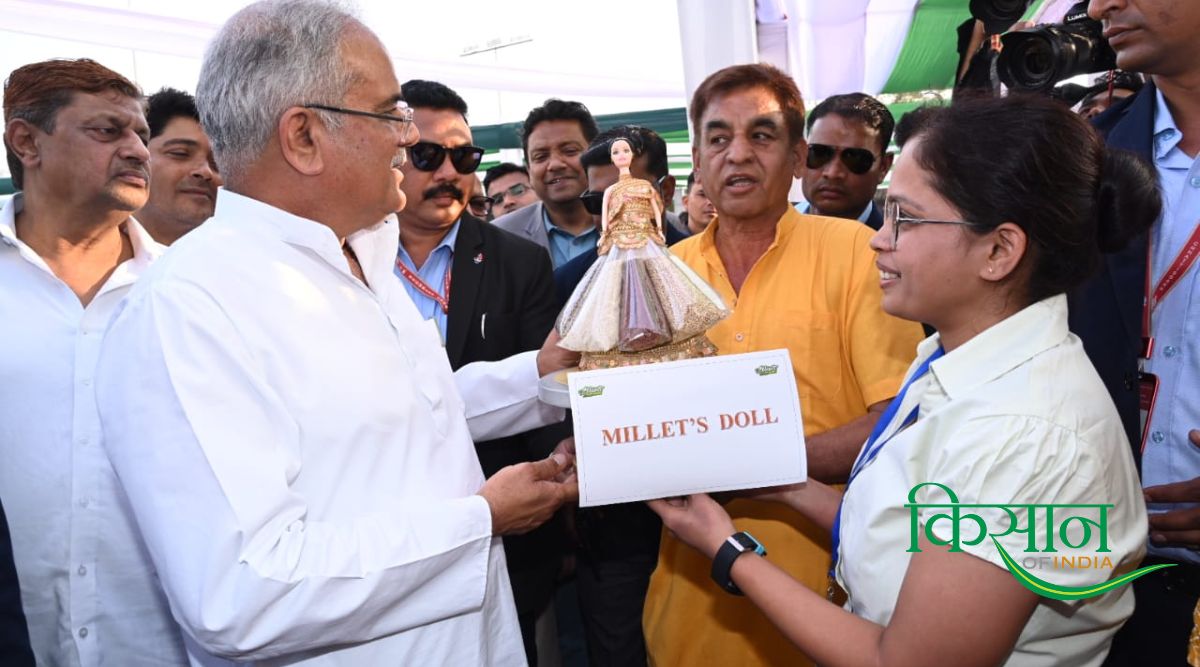 मिलेट