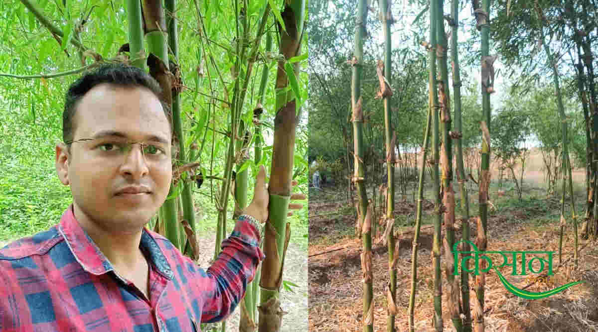 बकरी पालन goat farming 7