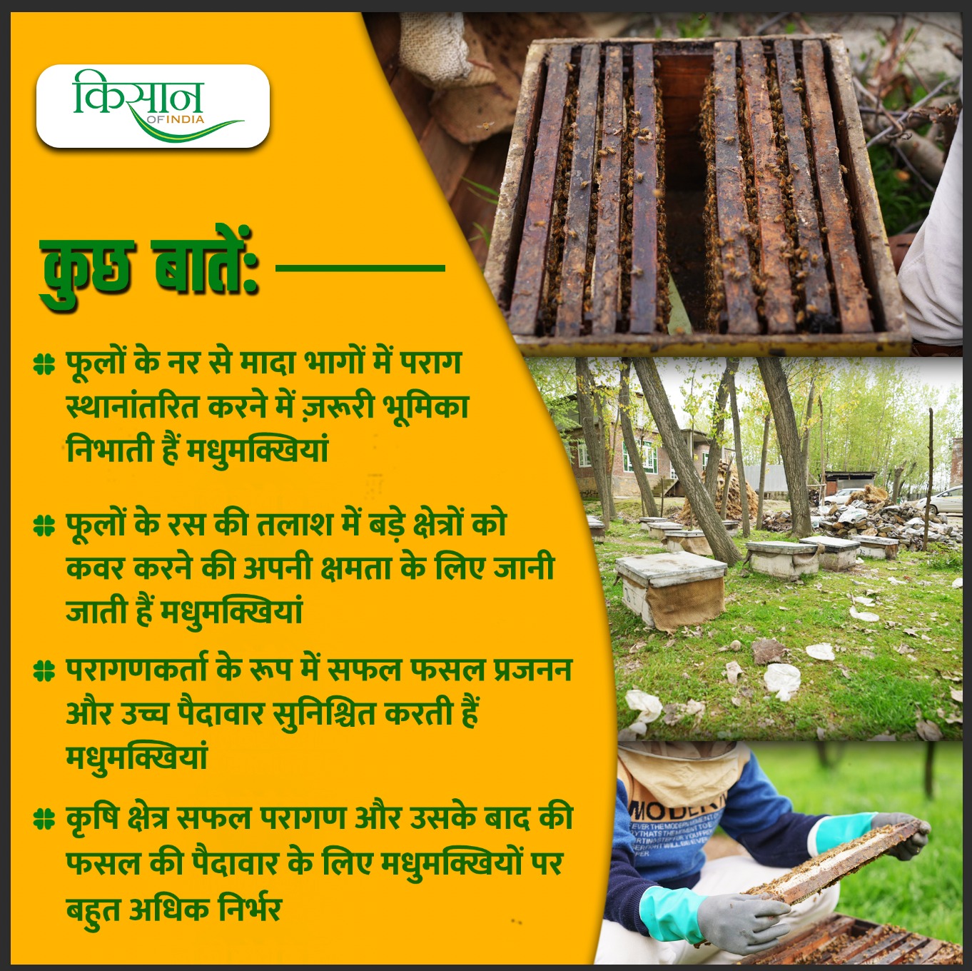 मधुमक्खी पालन 3