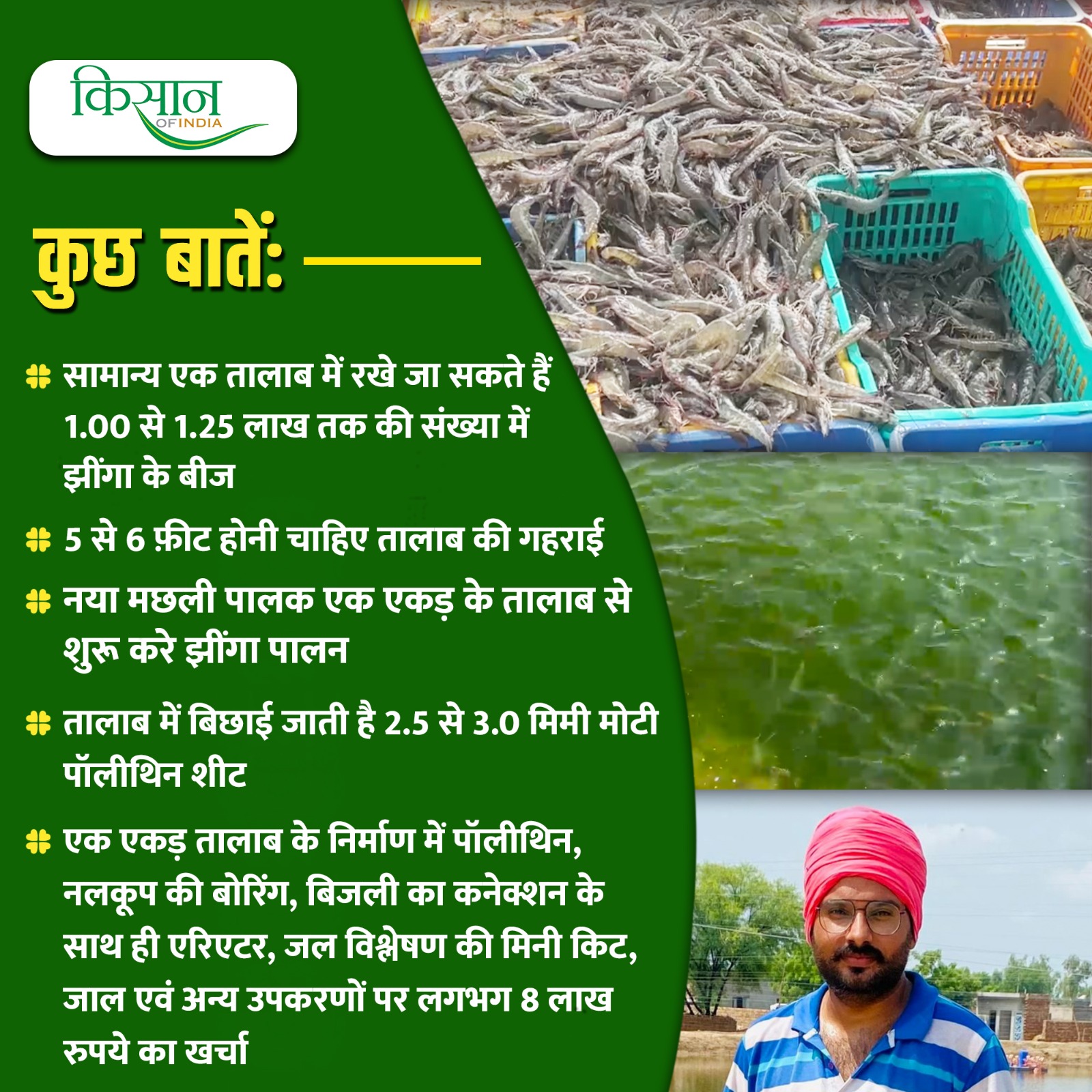 prawn fish farming झींगा पालन