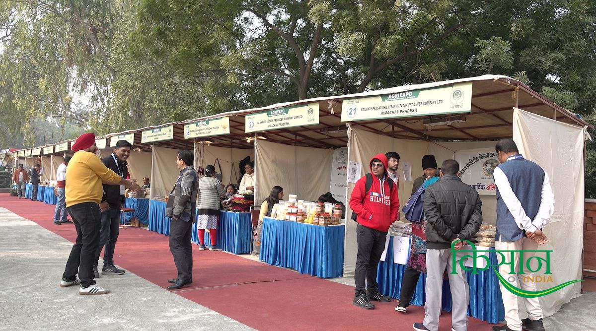 मिलेट्स उत्पाद Millets products