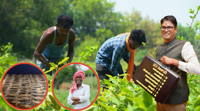 Chhattisgarh budget