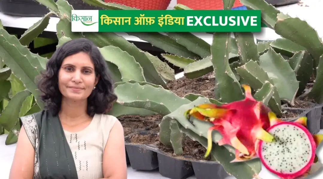 ड्रैगन फ़्रूट की खेती (Dragon Fruit)