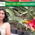 गेरोल नस्ल: भेड़ पालन की वैज्ञानिक तकनीक अपनाकर ये आदिवासी महिला किसान बनी मिसाल