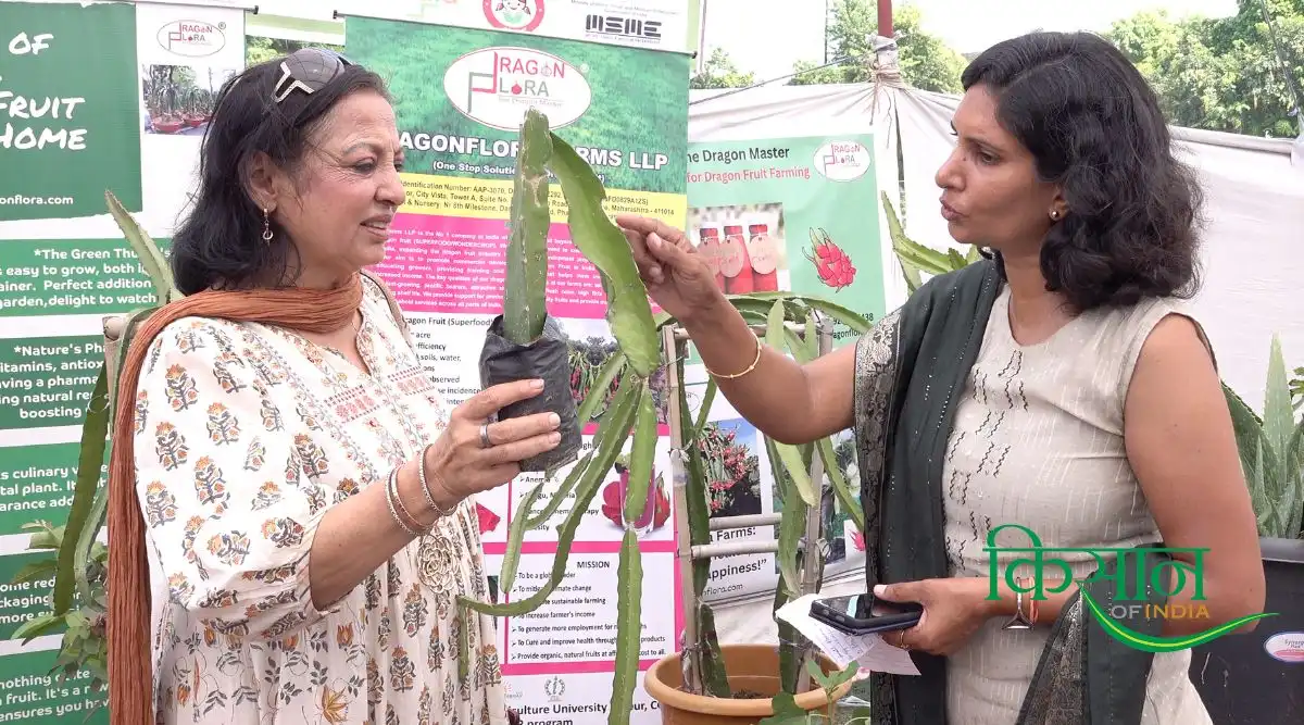 ड्रैगन फ़्रूट की खेती (Dragon Fruit) 4