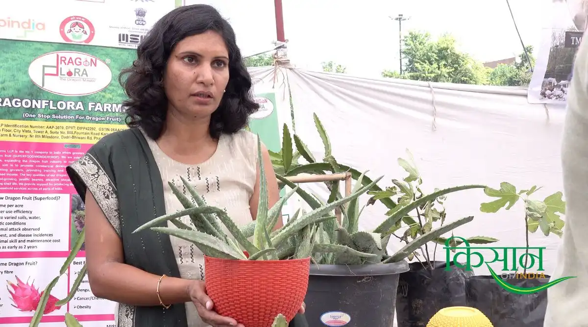 ड्रैगन फ़्रूट की खेती (Dragon Fruit) 6