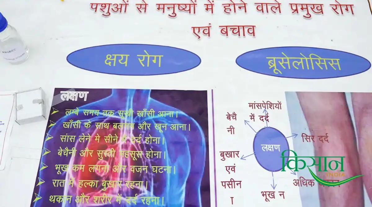 पशुपालन या डेयरी व्यवसाय 4