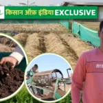 Eucalyptus Farming: यूकेलिप्टस की खेती को बढ़ावा देने के लिए बाज़ार की समस्या को कैसे दूर किया जा रहा?