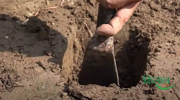 Soil Health Management मिट्टी की जांच 5