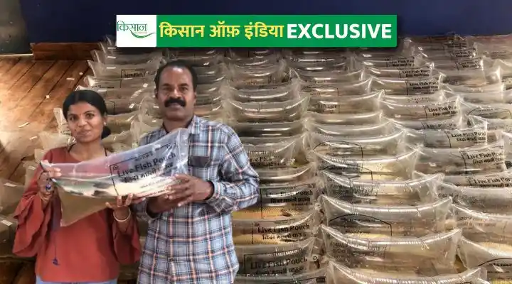 लाइव फ़िश पैकिंग live fish packing technique