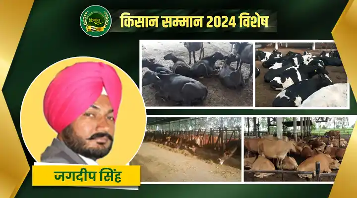 डेयरी फ़ार्मिंग Dairy Farming