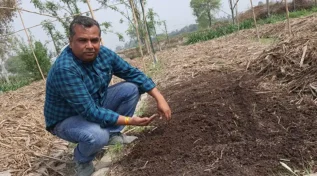 कृषि में नई तकनीक और जैविक खेती