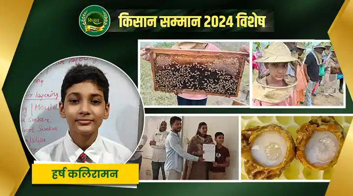 रॉयल जेली उत्पादन