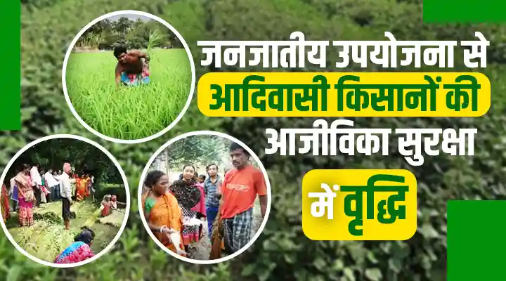 New Farming Techniques : जनजातीय मकालतला और फारमानिया की सफलता की कहानी