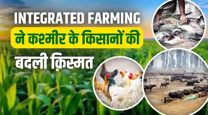 Integrated Farming एकीकृत कृषि