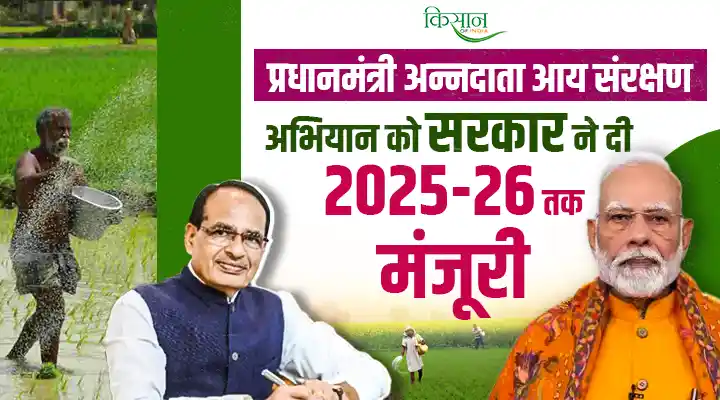 PM-AASHA: अब किसानों को उनकी उपज के साथ ही उपभोक्ताओं को भी मिलेगा वस्तुओं का उचित दाम