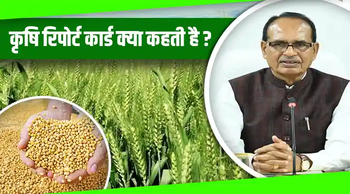 Estimates for Kharif and Rabi crops released खरीफ़ और रबी फ़सलों का अनुमान