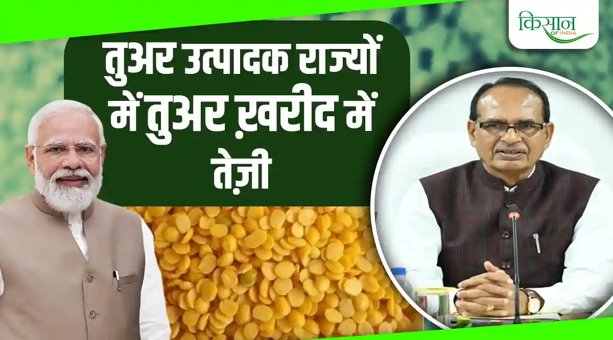 PM-AASHA Scheme को 15वें वित्त आयोग चक्र के दौरान 2025-26 तक जारी रखने की मंज़ूरी, राज्यों ने की तुअर दाल ख़रीद में तेज़ी