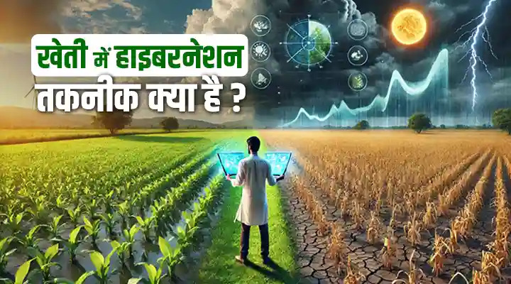 Hibernation In Farming: जलवायु-अनुकूल फसलें जो मौसम का अंदाज़ा लगा सकती हैं