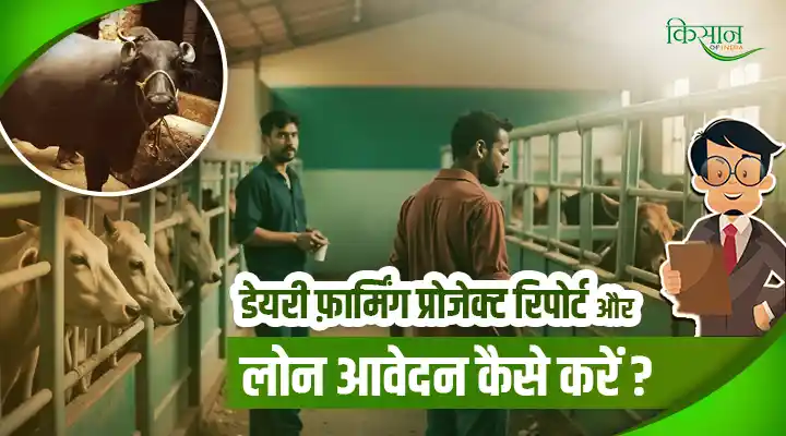 Dairy Farming: डेयरी फार्म के लिए डेयरी फार्मिंग प्रोजेक्ट रिपोर्ट और लोन आवेदन कैसे करें? जानिए
