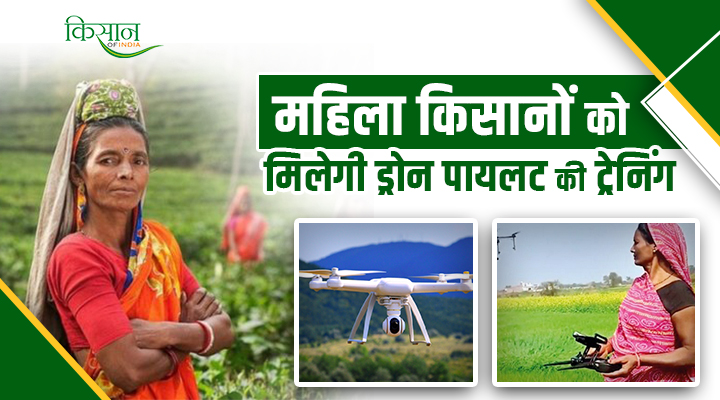 Drone Training To Women Farmers: ड्रोन से अब आसान होगी खेती, कैसे मिलेगी फ्री ट्रेनिंग जानें पूरी जानकारी