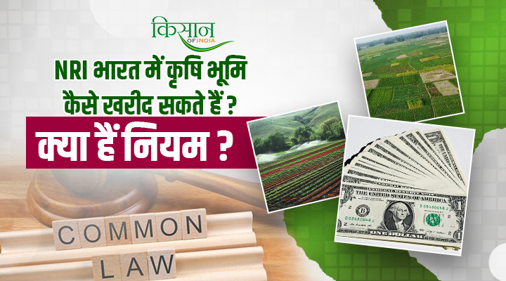How to Buy Agricultural Land in India by NRI: भारत में NRI कृषि भूमि कैसे ख़रीद सकते हैं? जानिए सरकार के क्या हैं नियम?