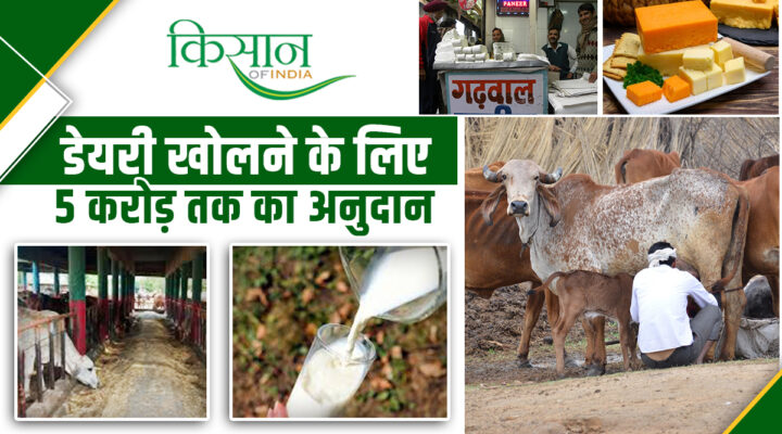 New Dairy Policy Of Uttar Pradesh: दूध उत्पादन में क्रांति, किसानों को मिलेंगे करोड़ों के अनुदान!