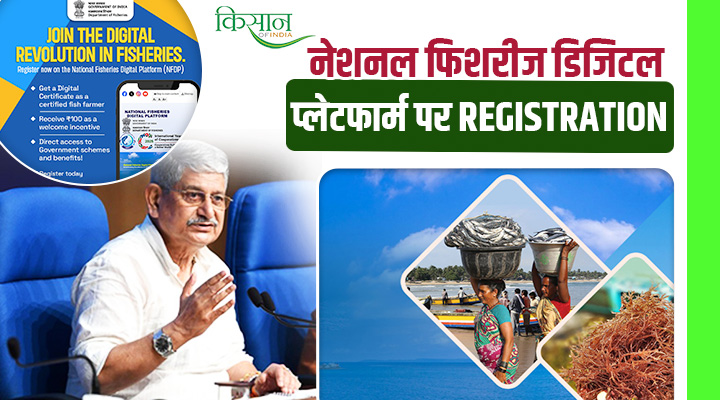 National Fisheries Digital Platform (NFDP): राष्ट्रीय मत्स्य डिजिटल प्लेटफॉर्म पर मछली पालक करें रजिस्ट्रेशन, पाएं स्वागत प्रोत्साहन राशि