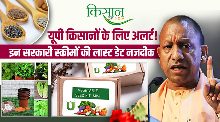 फ्री बीज से लेकर फसल बीमा तक! योगी सरकार दे रही किसानों को दोहरा लाभ, 31 अगस्त है लास्ट डेट