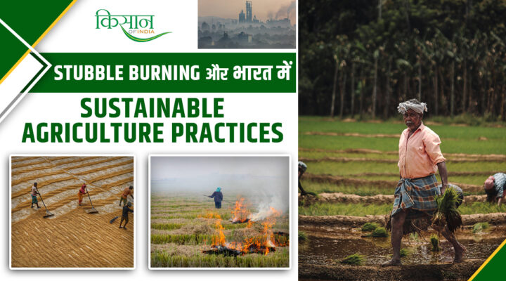 Ultimate Solution To Stubble Bu rning? जानिए कैसे टिकाऊ खेती और पराली प्रबंधन बचा सकता है हमारा स्वास्थ्य!