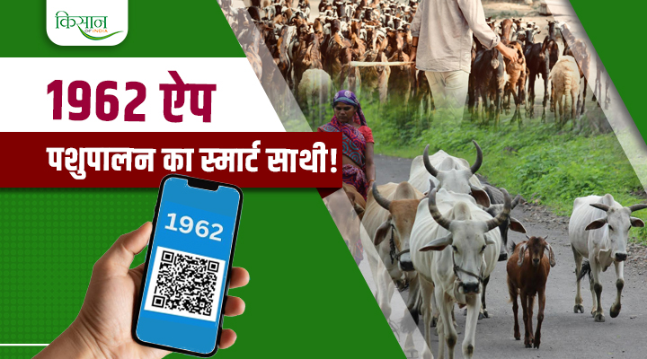 1962 Mobile App: पशुपालकों का स्मार्ट साथी,Animal Husbandry Revolution का डिजिटल सूत्रधार!