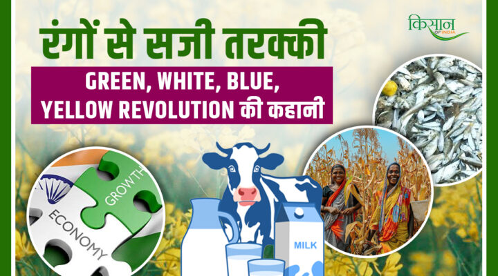 Colorful Revolutions और Indian Economy: जानिए, कैसे रंगों ने मिलकर बुनी भारत की आर्थिक ताकत की डोर