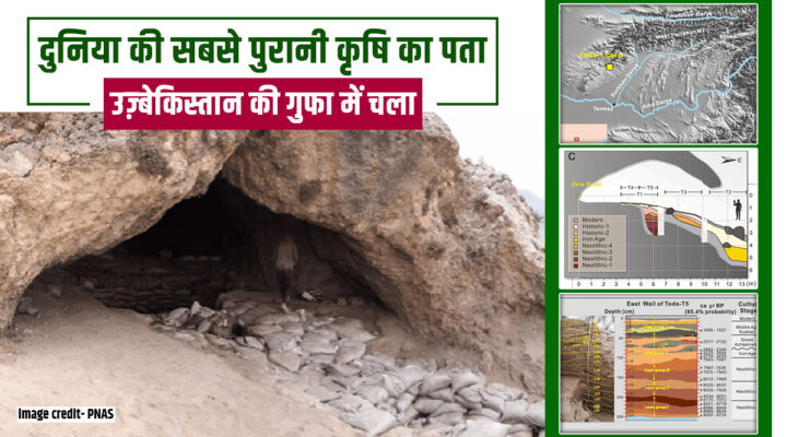 9,200 साल पहले जब इंसान ने बोया था पहला बीज: Uzbekistan की Toda Cave में छिपे राज़ की हुई खोज
