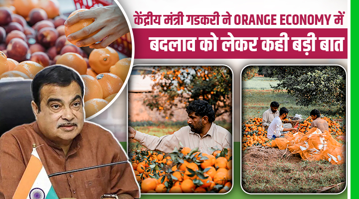 Agrovision 2025: विदर्भ के संतरे अब दुनिया में दिखाएंगे अपना दम, गडकरी ने Orange Economy को लेकर कही ये बात