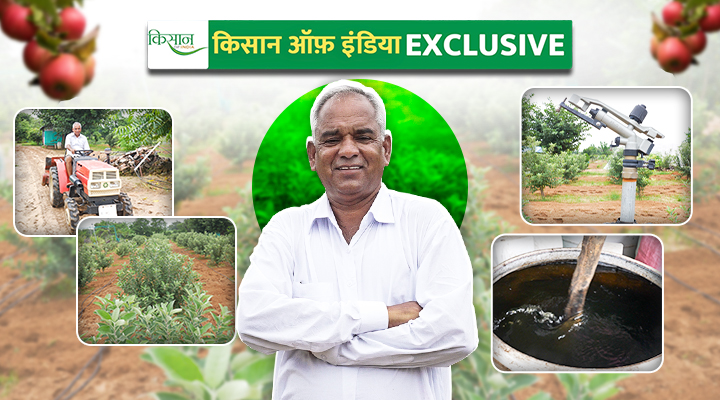 HRMN-99 Apple Variety cultivation in jaipur by ram kumar