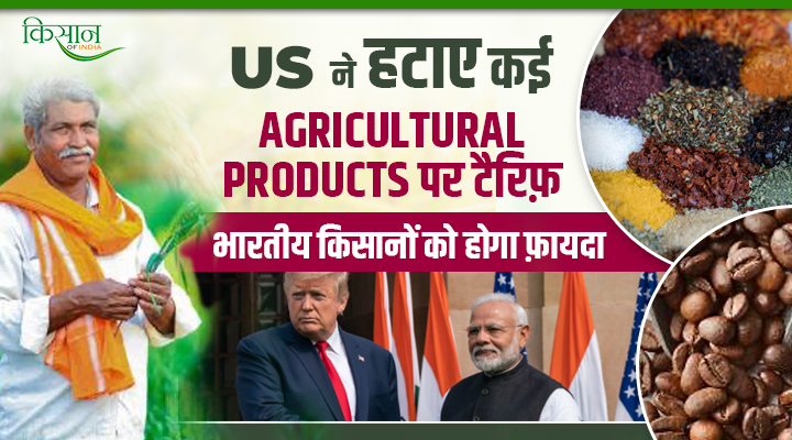 American Market में भारतीय किसानों के लिए सुनहरा मौका! Tariff छूट से मसालों और चाय के एक्सपोर्ट को बढ़ावा